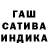 Каннабис индика Horvat Maxim