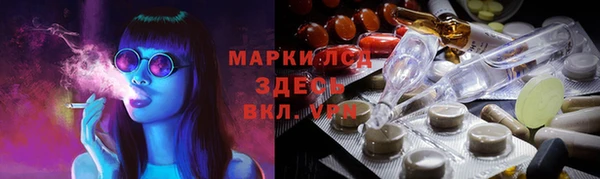 стаф Инта