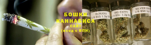 твердый Иннополис