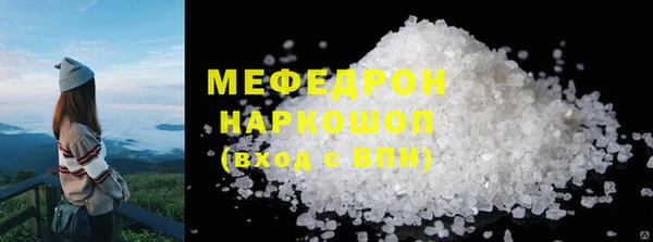 стаф Инта