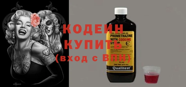стаф Инта