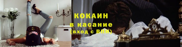 твердый Иннополис