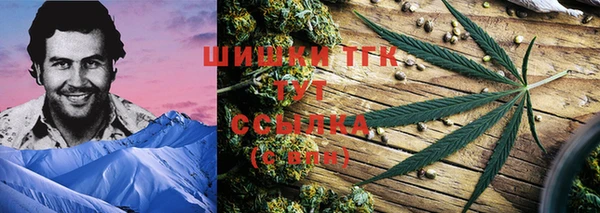 стаф Инта