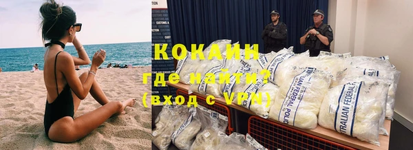 стаф Инта