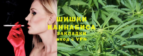 стаф Инта