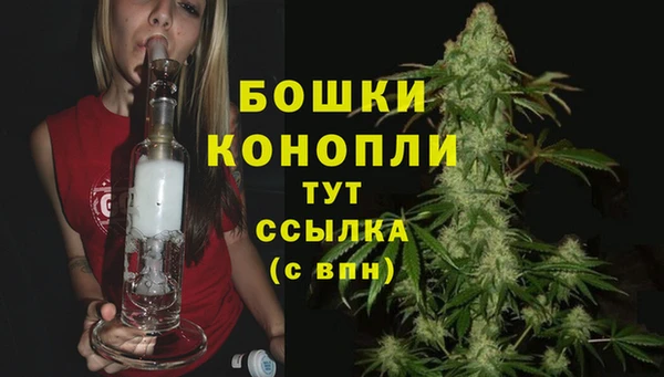 твердый Иннополис