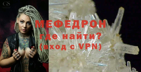 стаф Инта